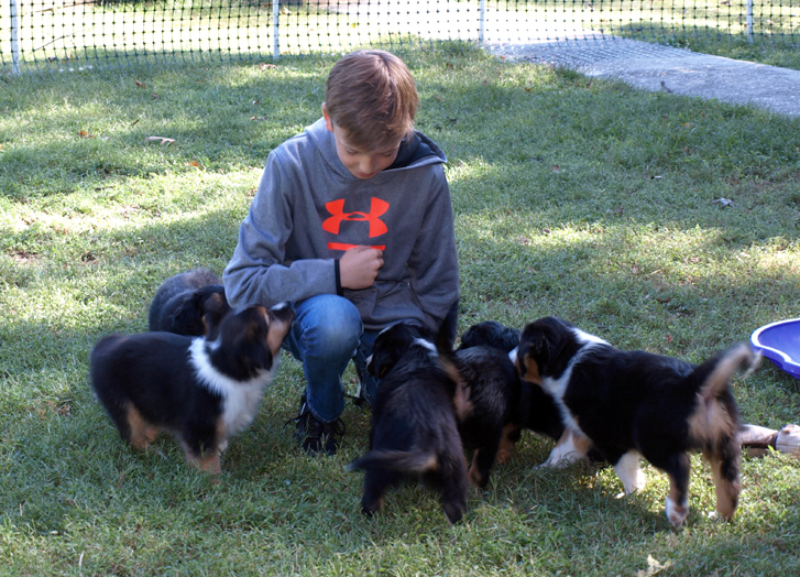 The Puppy Whisperer, with 7 week old Mouseketeers